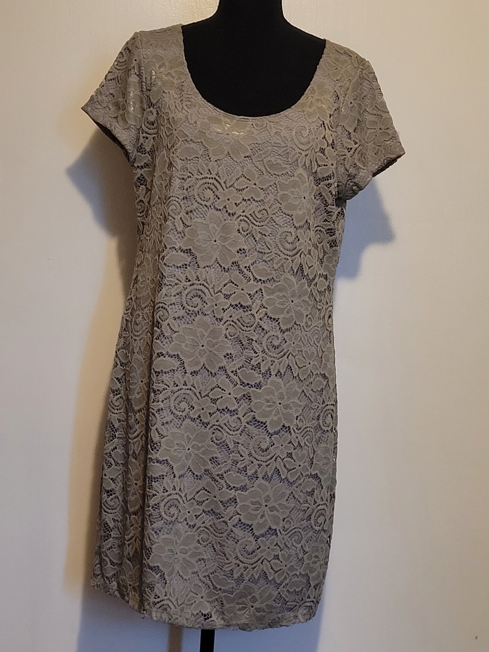 Tiana B. Taupe/Green Floral Lace Shift Dress Womens Large